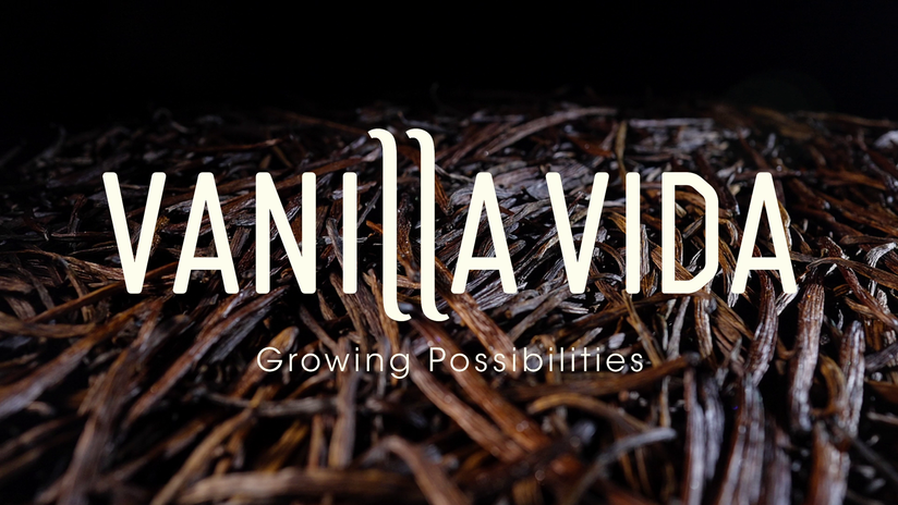 Vanilla Vida | Growing Possibilities